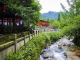 都江堰青城山（純真）一日游