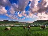 希拉穆仁草原、響沙灣、田野莊園、蒙牛集團(tuán)親子雙飛五日游