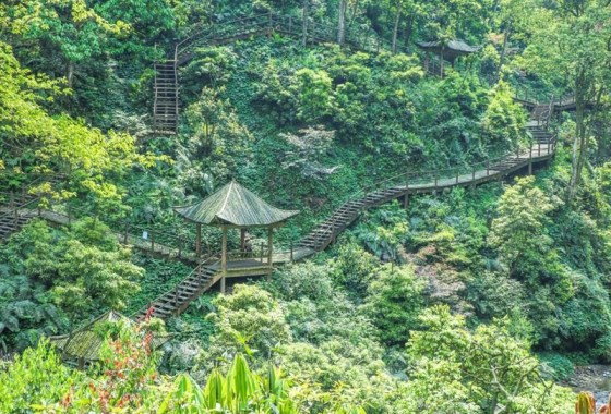 峨眉山自然生態(tài)猴區(qū)